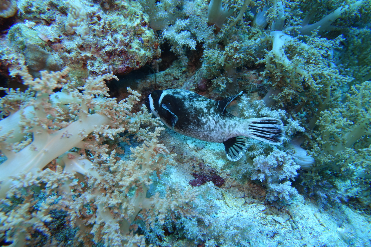 DSC00044.JPG