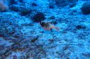 DSC00047.JPG