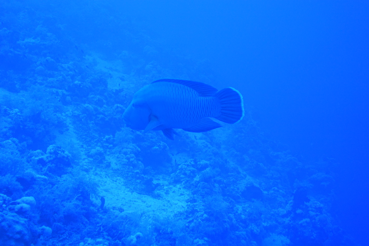 DSC00021.JPG