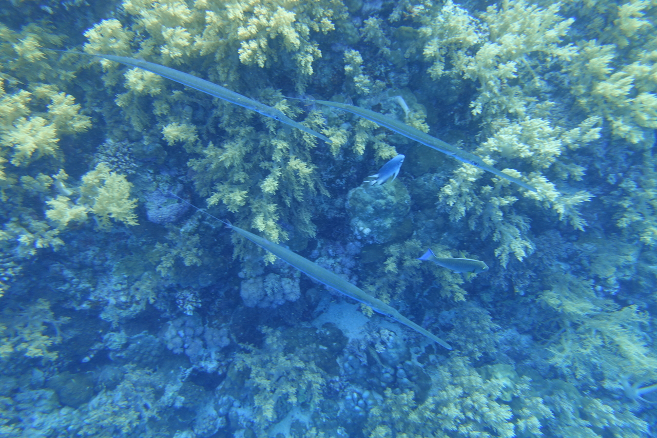 DSC00022.JPG