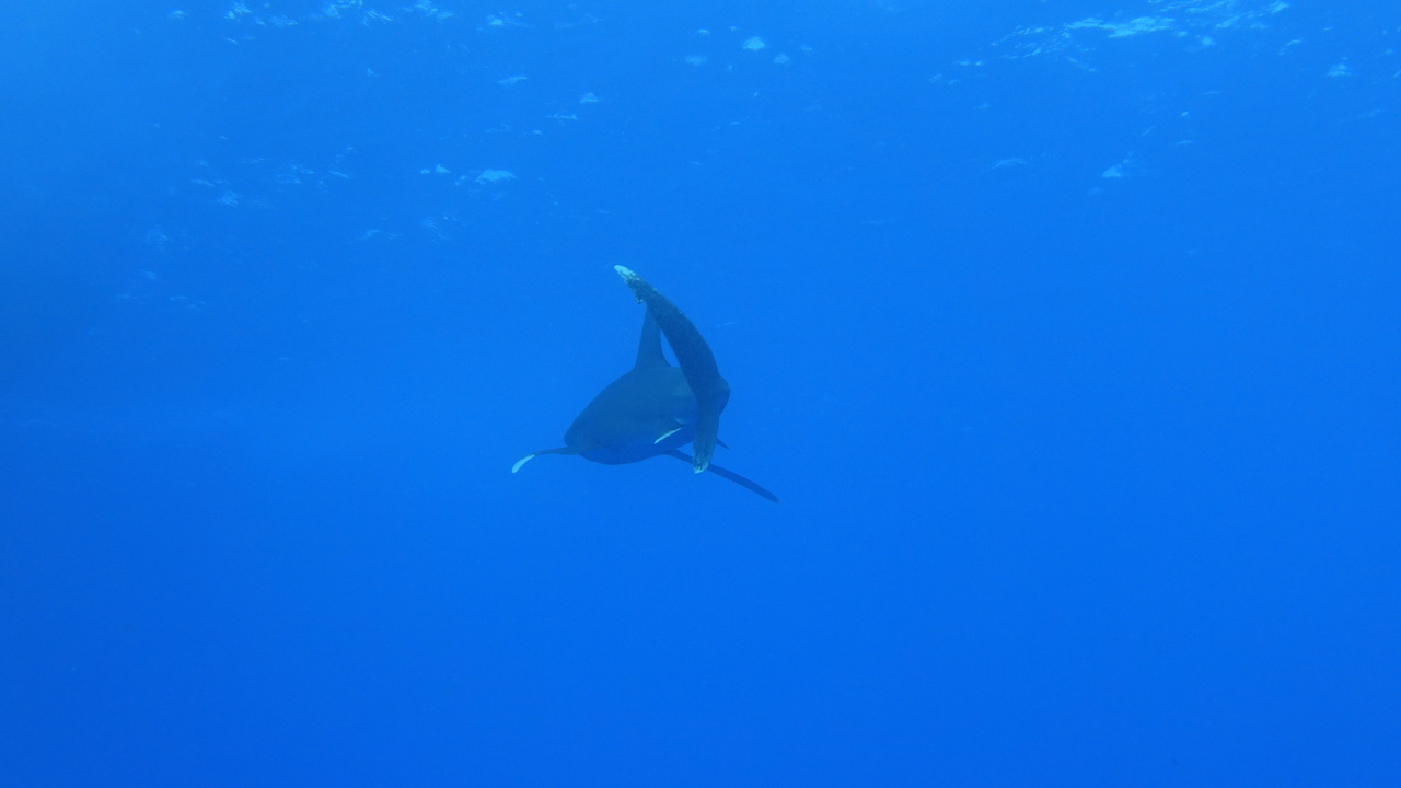 DSC00028.JPG