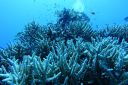 DSC00063.JPG