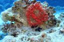DSC00066.JPG