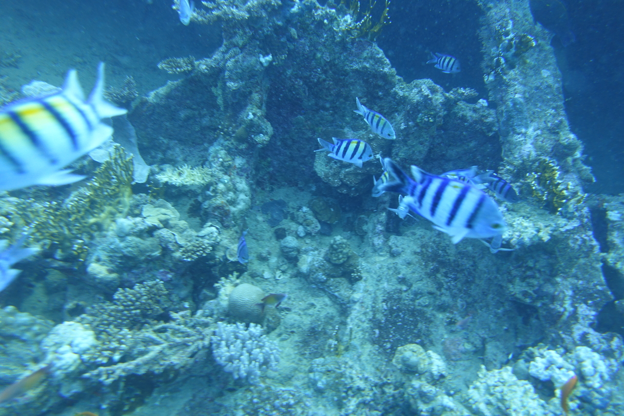 DSC00083.JPG