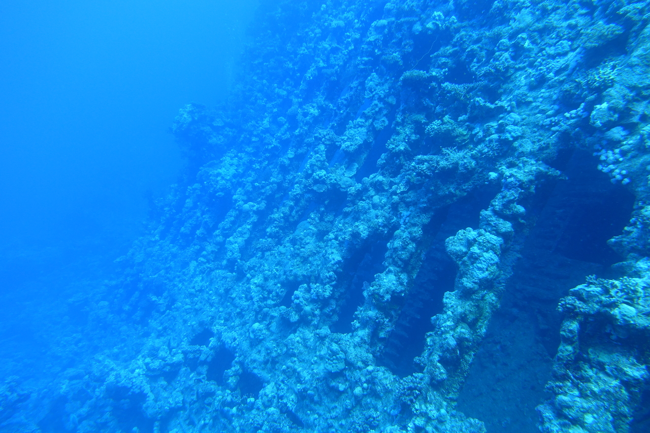DSC00183.JPG