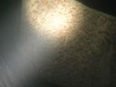 DSC00014.JPG