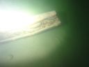 Dateiname=DSC00110.JPG
Dateigröße=267KB
Abmessungen: 1024x768
hinzugefügt am: 23. September 2018 DSC00110.JPG