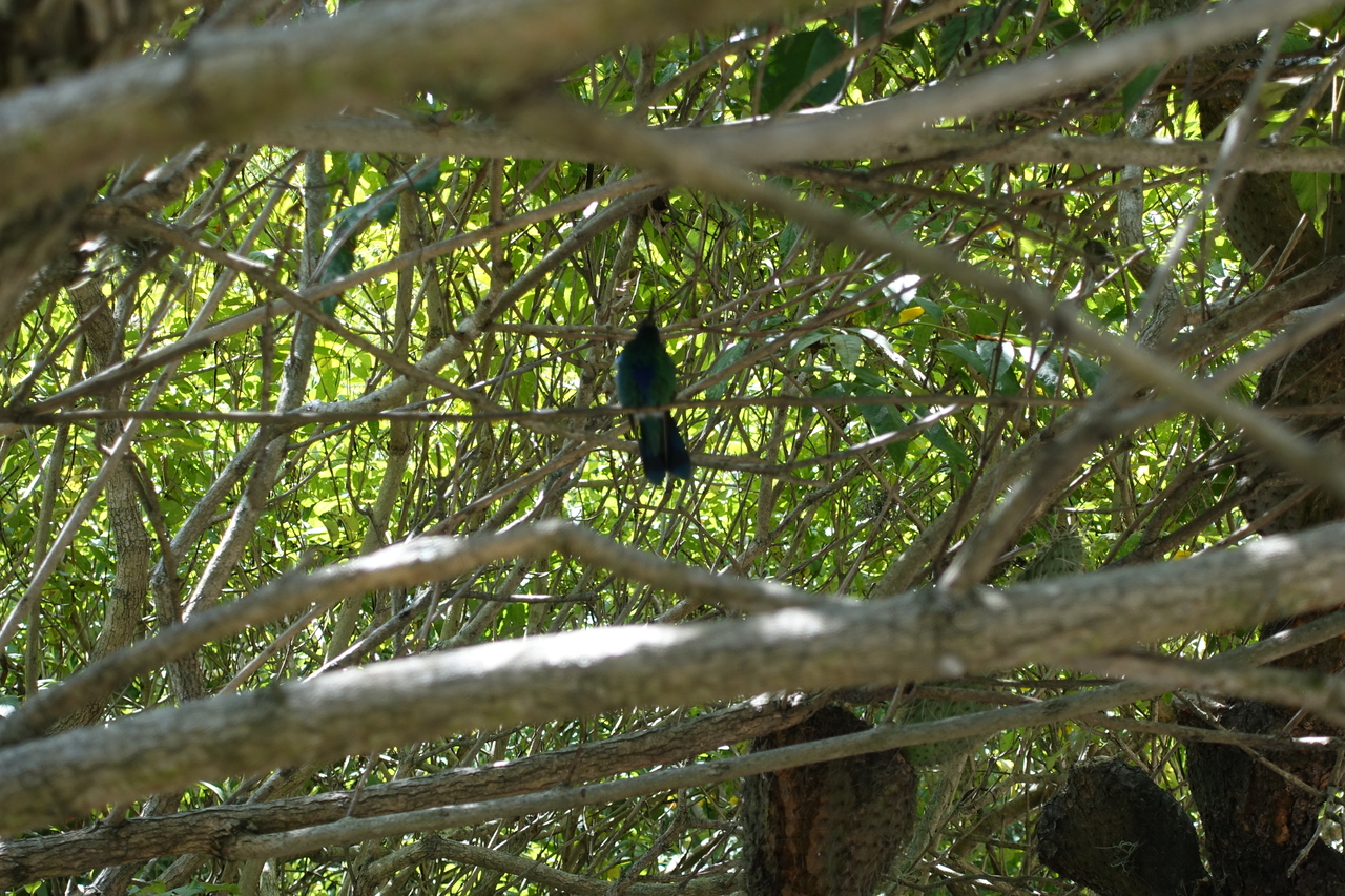 DSC00018.JPG