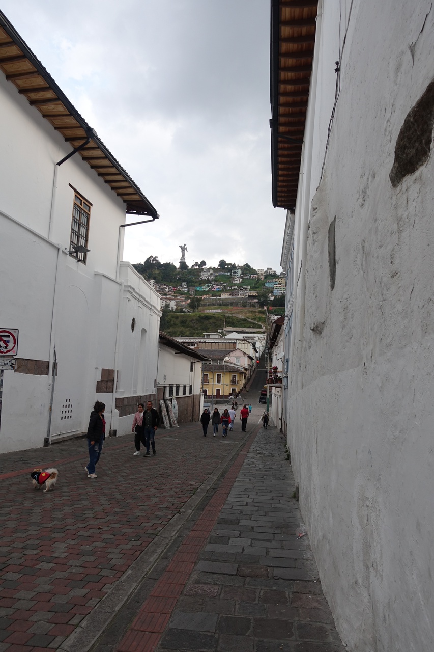 DSC00084.JPG