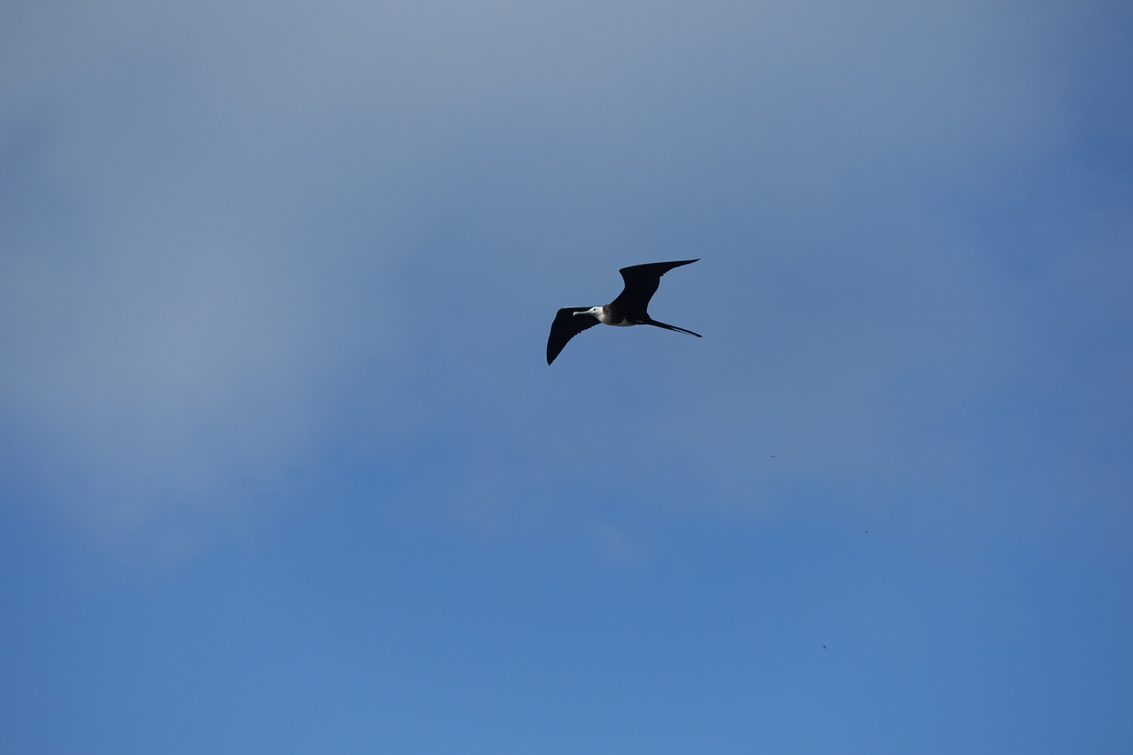 DSC00162.JPG