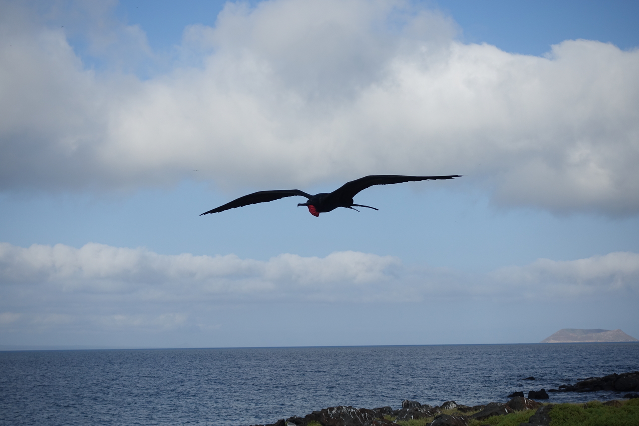 DSC00164.JPG