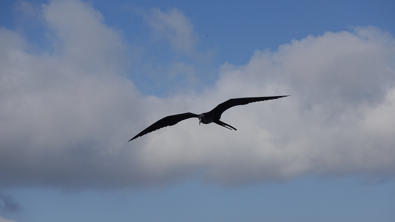 DSC00166.JPG