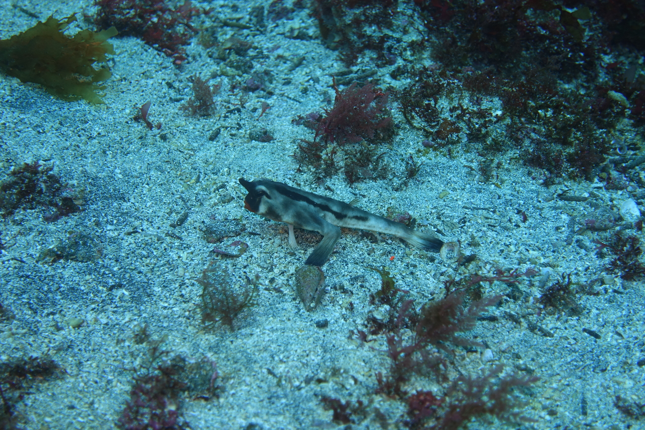 DSC00309.JPG