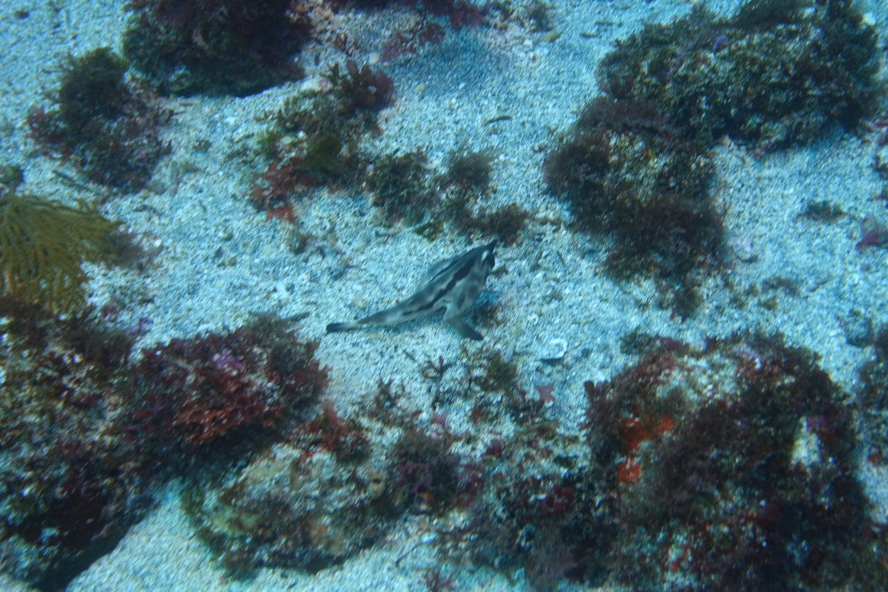 DSC00312.JPG