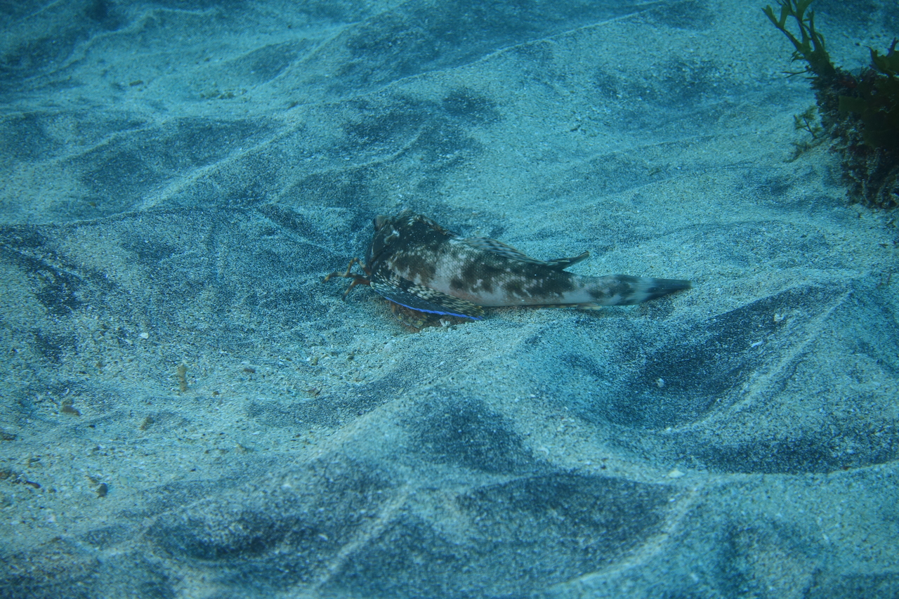 DSC00316.JPG