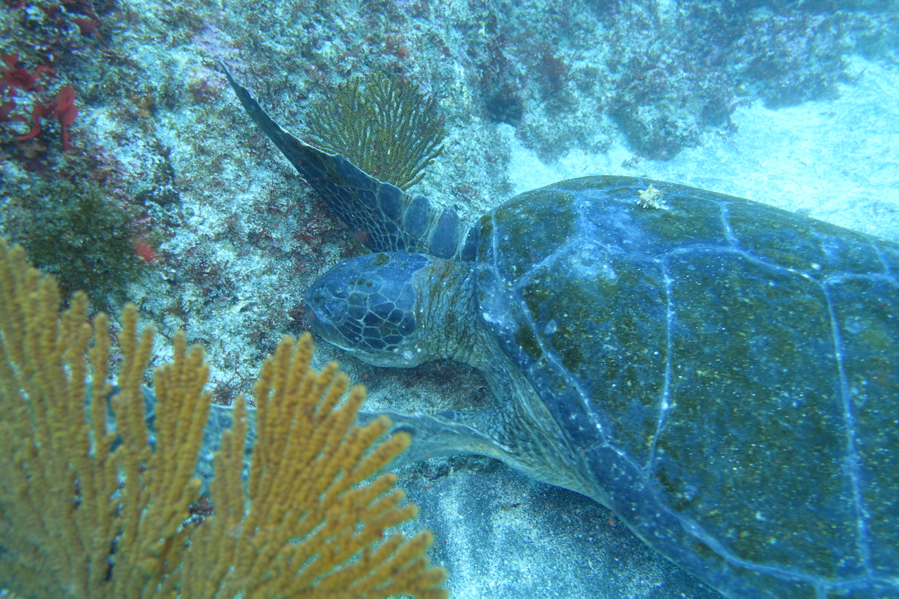 DSC00360.JPG