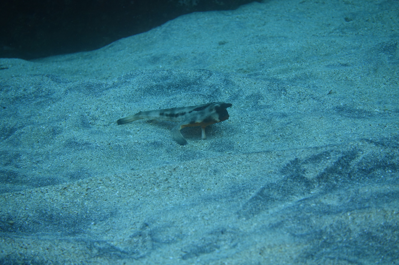 DSC00365.JPG