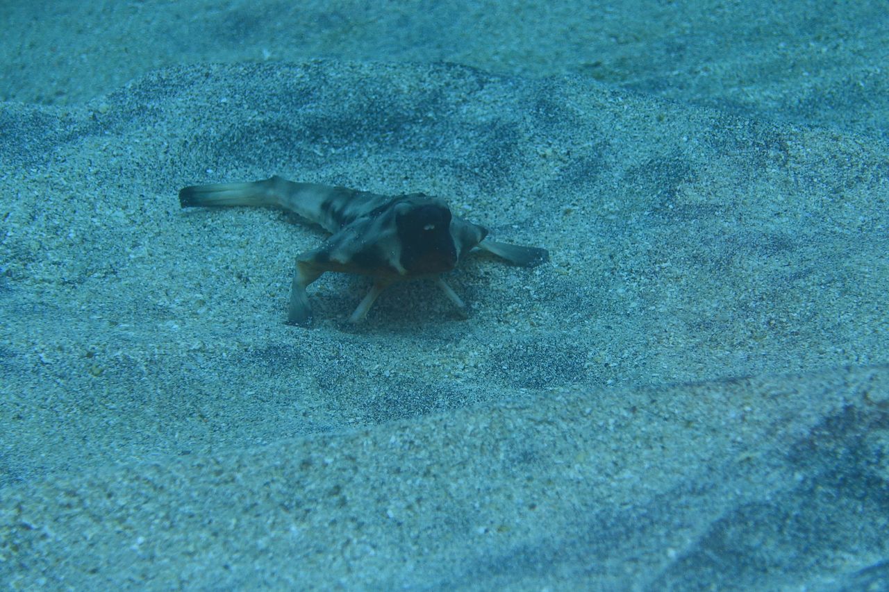 DSC00366.JPG