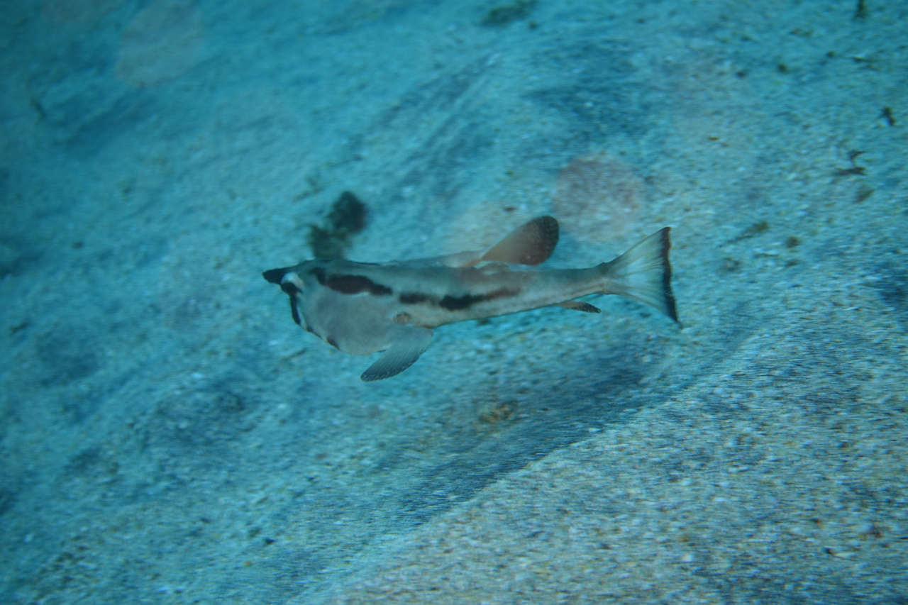 DSC00369.JPG