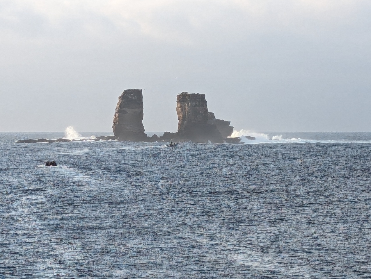 DSC00375.JPG