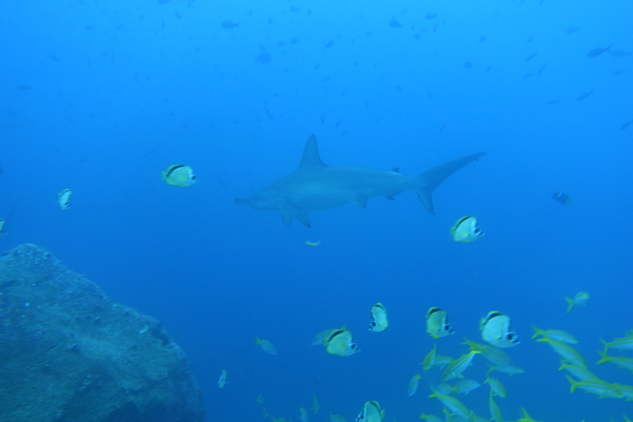 DSC00394.JPG