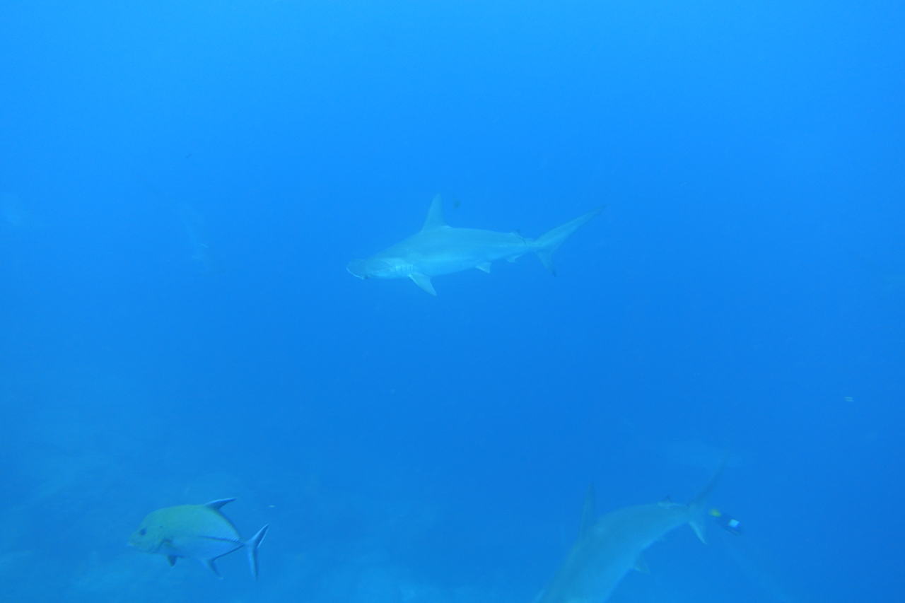 DSC00415.JPG