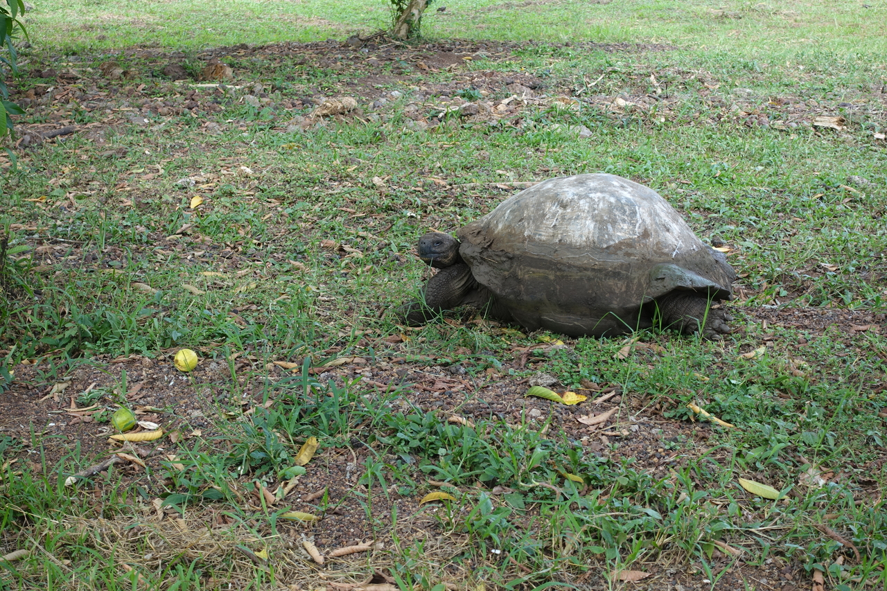 DSC00688.JPG