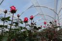 DSC00120.JPG