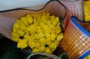 DSC00126.JPG