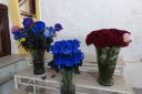 DSC00127.JPG