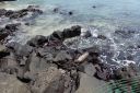 DSC00152.JPG