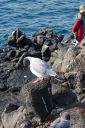 DSC00161.JPG