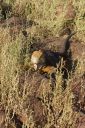 DSC00175.JPG