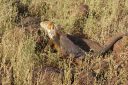 DSC00176.JPG