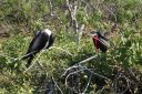 DSC00183.JPG