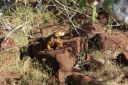 DSC00186.JPG