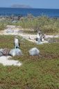 DSC00205.JPG