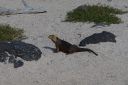 DSC00207.JPG
