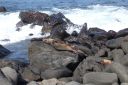 DSC00213.JPG