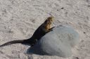 DSC00214.JPG