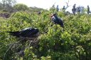 DSC00217.JPG