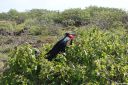 DSC00218.JPG