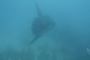 DSC00225.JPG
