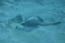 DSC00306.JPG