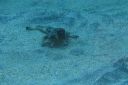 DSC00366.JPG