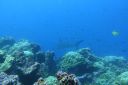 DSC00453.JPG