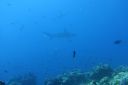 DSC00454.JPG