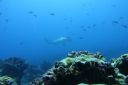 DSC00465.JPG