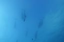 DSC00512.JPG