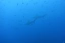 DSC00540.JPG